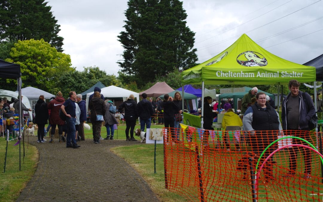 Summer Open Day 2024
