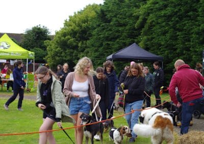 Open dog show
