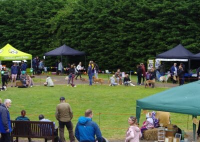 Open dog show