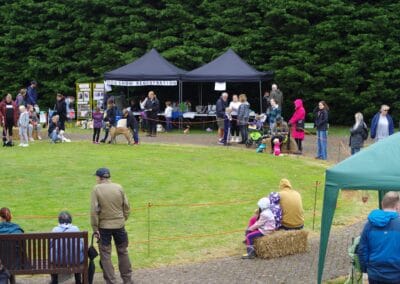 Open day stalls