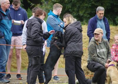 Open day dog show