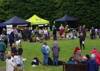 Open day dog show