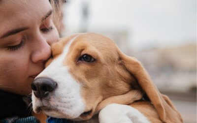 National love your pet day!