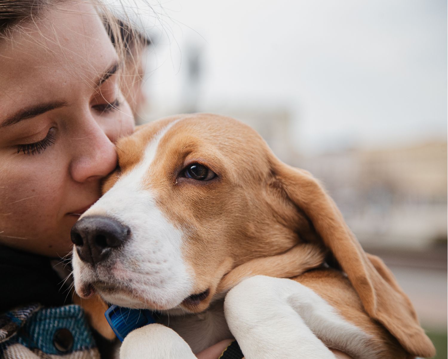 Woman hugging a dog