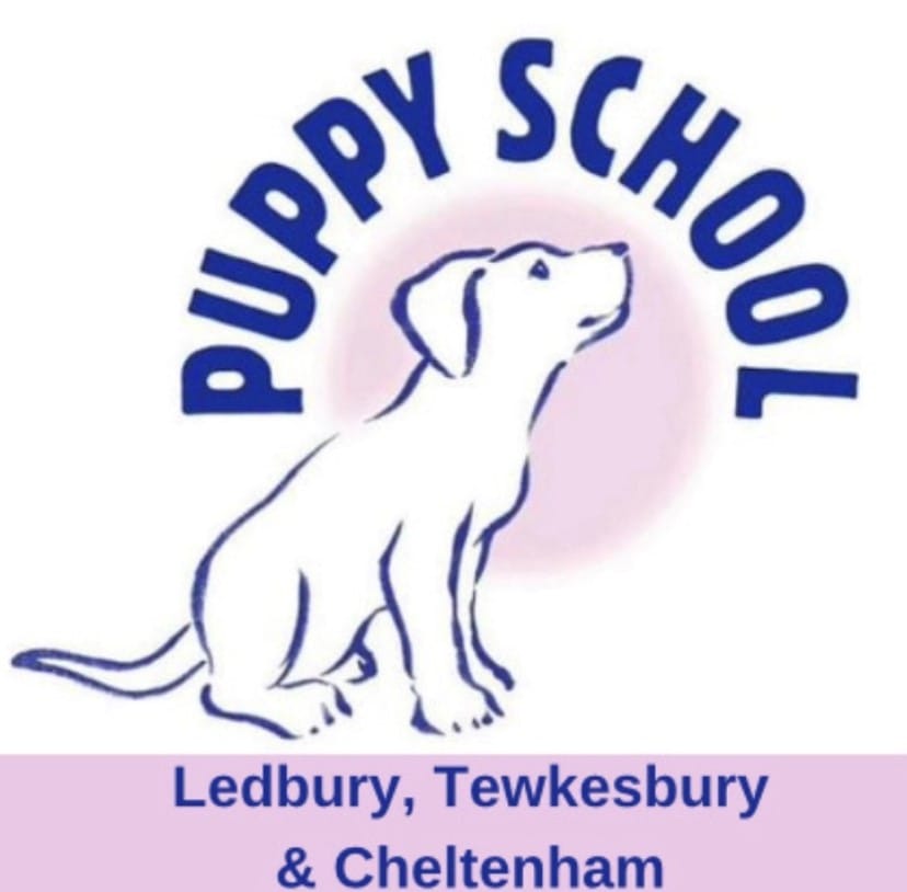 Puppy School LT&C Logo