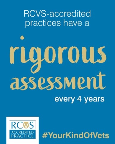 RCVS 3