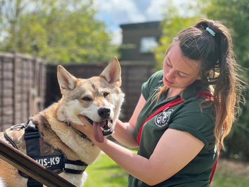 Animal care assistant with a dog