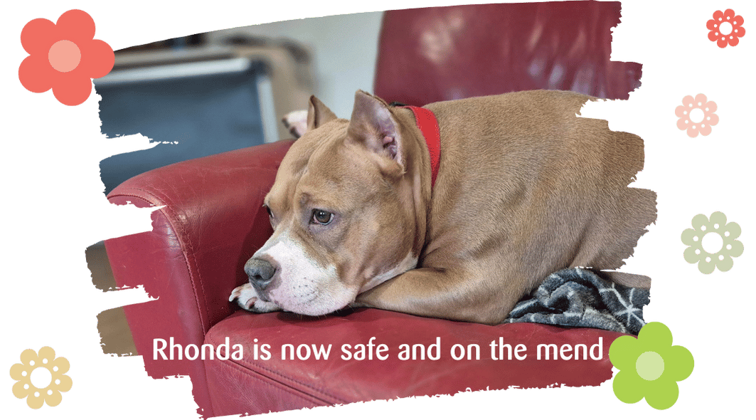 Big Spring raffle 2025 - Rhonda