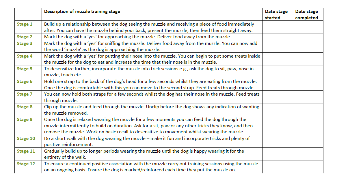 Muzzle Training Plan crop